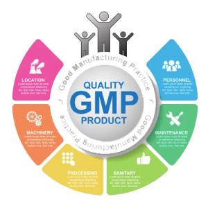 GMP (Good Manufacturing Practice)